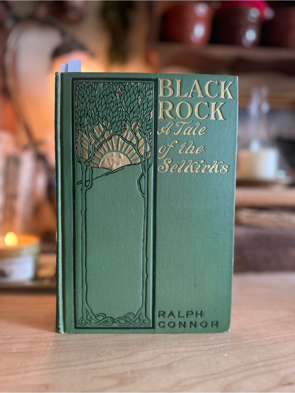 Antique A Tale of the Selkirks Book by Ralph Connor 1901
